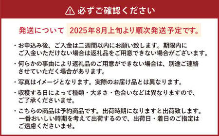 きたいろトマト 800g 朝もぎトウキビ 8本 セット 【2025年8月上旬～9月上旬迄発送予定】 トマト とうもろこし トウモロコシ 野菜 朝採れ オーガニック