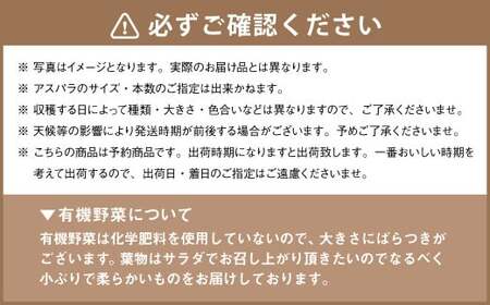 北海道産アスパラと季節の有機野菜セット 【2025年4月下旬～8月下旬迄発送予定】 北海道 北広島市 野菜セット アスパラ 有機野菜 