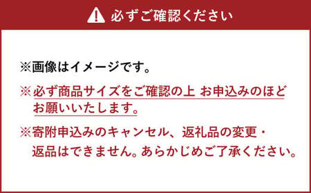 Cylinder 椅子 イス インテリア オブジェ 置物