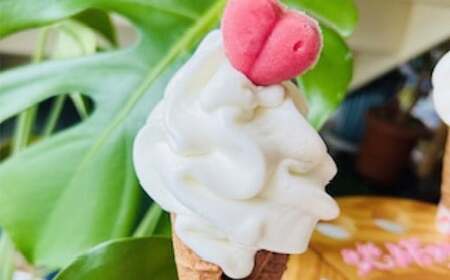 北海道グラスフェッドソフトクリーム6個入 ソフトクリーム オーガニック グラスフェッドミルク アイス デザート スイーツ