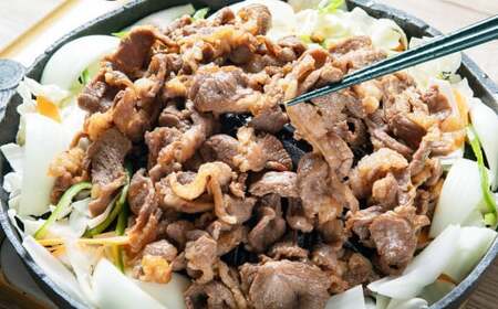 すりおろし生姜が自慢のラムジンギスカン （約370g×4パック） 【2026年4月上旬から順次発送予定】