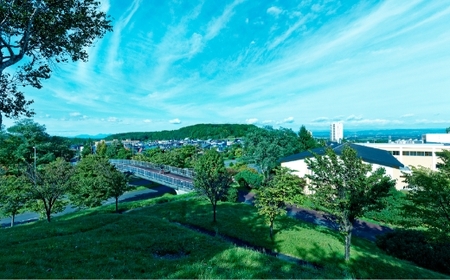 【7月5日(日)開催】「Fビレッジハーフマラソン2026」Fビレッジラン(3km)の部 参加権【お一人様1回】 Fビレッジ ハーフマラソン マラソン スポーツ