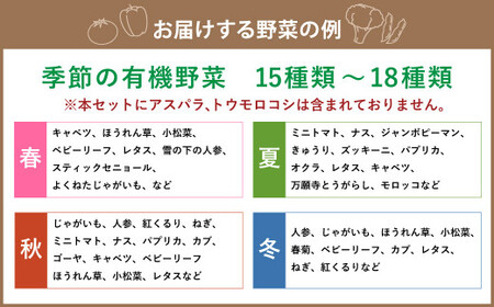 【有機JAS認定】季節の野菜 詰め合わせ 15種類～18種類程度 ～有機野菜セットB～ 北海道北広島市
