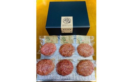 北海道北広島産 ブラックアンガス牛 ハンバーグステーキ 900g （150g×6個）牛肉