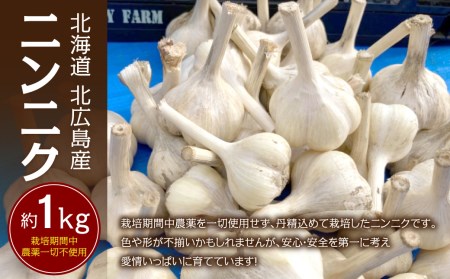 北海道 北広島産 ニンニク 約1㎏ 野菜