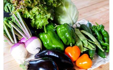 【有機JAS認定】【5ヶ月定期便】 季節の野菜詰め合わせ ～有機野菜セットB～