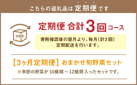 【3ヶ月定期便】おまかせ旬野菜セット 旬 野菜 セット 北海道 北広島市