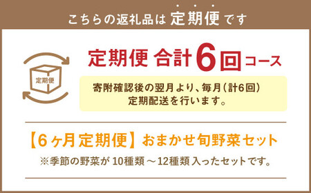 【6ヶ月定期便】 おまかせ旬野菜セット 旬 野菜 セット 北海道 北広島市