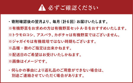 【6ヶ月定期便】 おまかせ旬野菜セット 旬 野菜 セット 北海道 北広島市