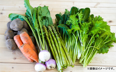 【6ヶ月定期便】 おまかせ旬野菜セット 旬 野菜 セット 北海道 北広島市