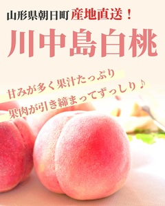 ＜先行予約＞白桃 川中島 3kg 9～12個 秀品 【2026年8月下旬発送】 農家直送 山形県 朝日町産 山形産 もも モモ 桃 ピーチ 果物 フルーツ 夏 送料無料 糖度 クール便 冷蔵便