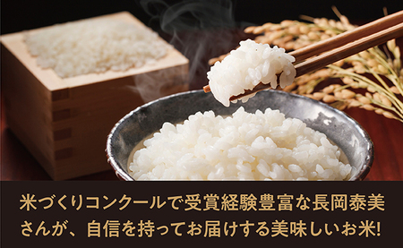 米 はえぬき 令和6年産 9kg （3kg・3袋） 2024年産 農家直送 精米 こめ コメ 山形県 朝日町産