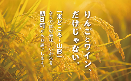 米 はえぬき 令和6年産 9kg （3kg・3袋） 2024年産 農家直送 精米 こめ コメ 山形県 朝日町産