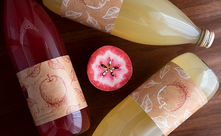 りんごジュース 1L 3本 HATSUKOI りんご果汁 １００％ 山形県 朝日町 ぱれっと企業組合 ジュース セット ストレート リンゴジュース りんご リンゴ 飲み比べ