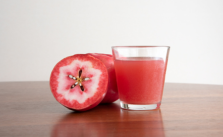 りんごジュース 1L 3本 HATSUKOI りんご果汁 １００％ 山形県 朝日町 ぱれっと企業組合 ジュース セット ストレート リンゴジュース りんご リンゴ 飲み比べ