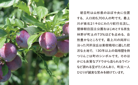 ＜先行予約＞プラム 秋姫 ２kg 大玉 2L以上 秀品 化粧詰め 【2026年９月中旬～９月下旬発送】 山形県 朝日町産 山形産 すもも スモモ フルーツ 果物 秋