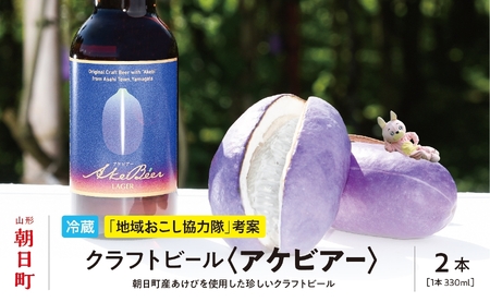 アケビを使ったクラフトビール アケビアー 330ml×2本 箱入り