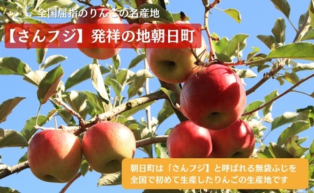 【焼きたて発送】りんごさんちの やきりんご 10個入り 国産小麦 焼き菓子 山形県 朝日町 スイーツ 菓子 りんご アップル パイ