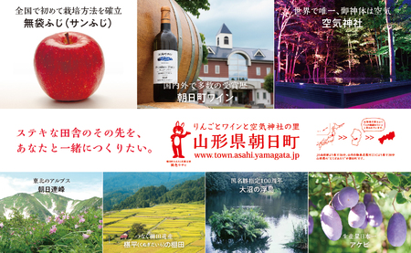  ＜先行予約＞プラム おまかせ 2種以上 食べ比べ 2kg 大玉 2L以上 秀品 化粧詰め 【2026年8月下旬～9月中旬発送】山形県 朝日町産 山形産 すもも スモモ フルーツ 果物 夏
