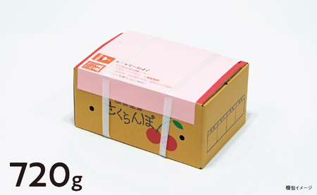 < 先行予約 > 山形県産 さくらんぼ ( 佐藤錦 ・ 紅秀峰 ) 丸秀品 L以上 720g (180g×4) 【2026年6月下旬から7月上旬発送】 山形県 果物 フルーツ 初夏 夏 送料無料