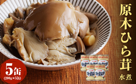 大江町柳川産 原木ひら茸水煮200g×5缶(固形量) 014-004