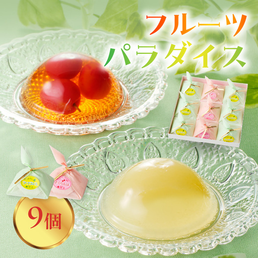 御菓子処蝶谷　フルーツパラダイス　9ヶ入・化粧箱 007-008