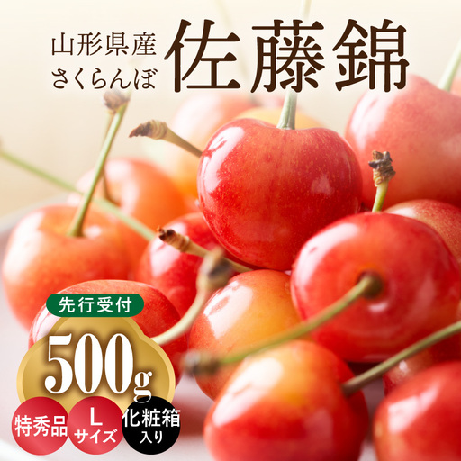 ≪先行予約≫さくらんぼ 佐藤錦 500g 特秀品 Lサイズ 化粧箱入【2026年6月中旬頃～発送予定】【山形県産さくらんぼ】さくらんぼ サクランボ 001-071