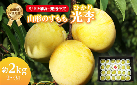 《先行予約》すもも「光李（ひかり）」約2kg 2～3L【2024年8月中旬頃～発送予定】【山形プラム・大江町産】 001-080