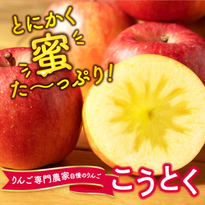 《先行予約》特選こうとくりんご約2.5kg 【2024年11月中旬頃～発送予定】【大江町産・山形りんご・大地農産・11月・12月】 028-024【りんご　りんご　りんご　りんご　りんご】