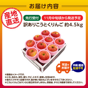  《先行受付》訳ありこうとくりんご約4.5kg 【2026年11月中旬頃～発送予定】【大江町産・山形りんご・大地農産・11月・12月】 028-025
