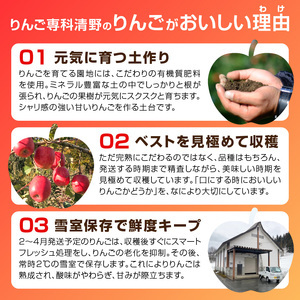 《先行受付》贈答規格「サンふじ」「はるか」約3kg詰合せ（特秀～秀）【2026年12月上旬～発送予定】【大江町産・山形りんご・りんご専科 清野】 015-064