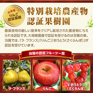 《先行予約》特別栽培 大玉 ラフランス 約5kg・秀品4L～3L 【2026年11月上旬頃～発送予定】 025-019