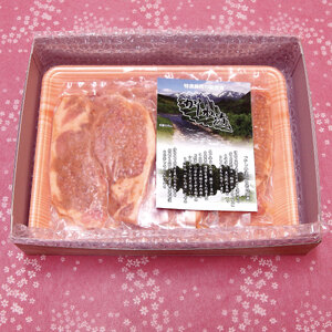 肉のキクチ 伝統の味 かしわ漬け 10枚セット 035-001