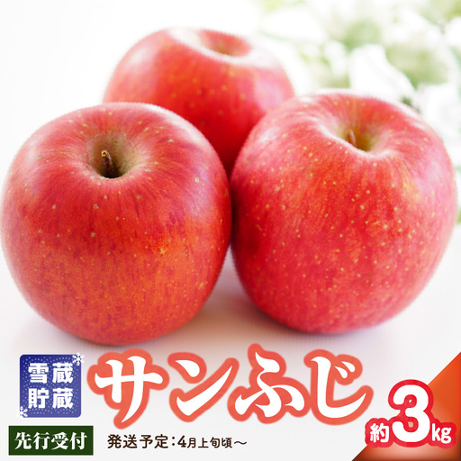 《先行受付》贈答規格 雪蔵貯蔵 サンふじ 約3kg【2026年4月上旬頃～発送予定】【大江町産・山形りんご・りんご専科 清野】 015-067