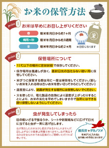 山形県産 無洗米 令和7年産 はえぬき 夢味米(冬眠密着包装) 10kg(2kg×5袋)【山形県産 BG精米製法】 036-006