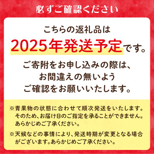 ≪先行受付≫千秋りんご約5kg・秀品 【2025年9月下旬～10月上旬配送予定】 【山形りんご・大江町産】 054-001