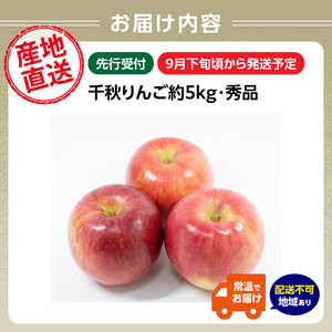 ≪先行受付≫千秋りんご約5kg・秀品 【2025年9月下旬～10月上旬配送予定】 【山形りんご・大江町産】 054-001