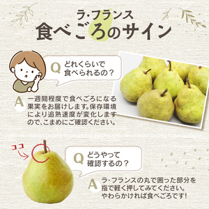 《先行受付》ラフランス 約3kg(2Lサイズ 8~9玉) 【2026年11月上旬より順次発送予定】 022-008