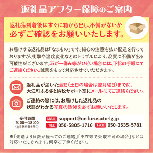 《先行受付》ラフランス 約3kg(2Lサイズ 8~9玉) 【2026年11月上旬より順次発送予定】 022-008