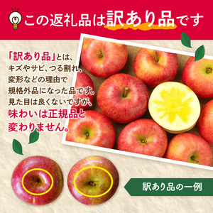 《先行受付》【2026年2月発送予定】 訳あり 家庭用サンふじ約10kg　【大江町産・山形りんご・大地農産】 028-032