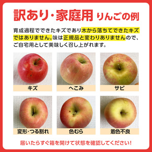 《先行受付》【2026年2月発送予定】 訳あり 家庭用サンふじ約10kg　【大江町産・山形りんご・大地農産】 028-032