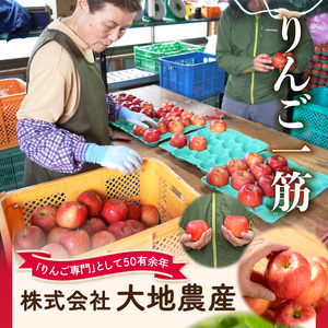 《先行予約》【3月発送予定】 サンふじ約5kg・秀品【大江町産・山形りんご・大地農産】 028-034