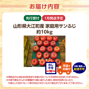 《先行予約》特別栽培 訳あり 家庭用サンふじ約10kg 【2025年1月中旬頃～発送予定】【山形りんご・大江町産・鈴木果樹園】025-021