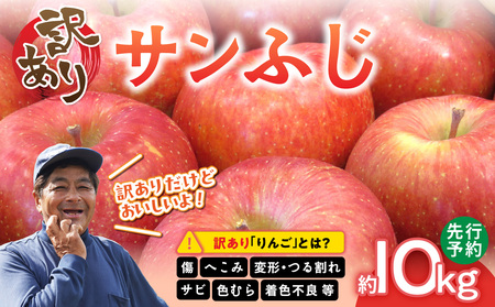 ≪先行予約≫【訳あり】サンふじ10kg 28～40玉【2024年12月中旬発送予定】 054-003