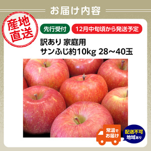 ≪先行予約≫【訳あり】サンふじ10kg 28～40玉【2024年12月中旬発送予定】 054-003