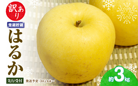 《先行受付》訳あり 雪蔵貯蔵 はるかりんご 約3kg【2026年3月上旬頃～発送予定】【大江町産・山形りんご・りんご専科 清野】015-068