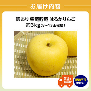 《先行受付》訳あり 雪蔵貯蔵 はるかりんご 約3kg【2026年3月上旬頃～発送予定】【大江町産・山形りんご・りんご専科 清野】015-068