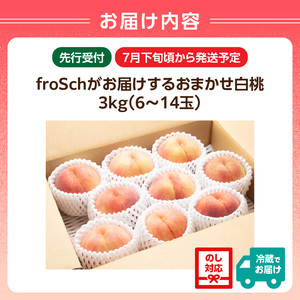 ≪先行受付≫ froSchがお届けするおまかせ白桃 約3kg 【2026年7月下旬より順次発送予定】 060-002