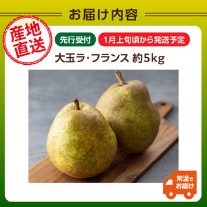 ≪先行受付≫ 特別栽培 大玉 ラフランス 約5kg 秀品4L~3L 【2027年1月より順次発送予定】 025-023