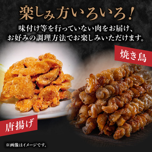 やまがた地鶏 皮 060-013